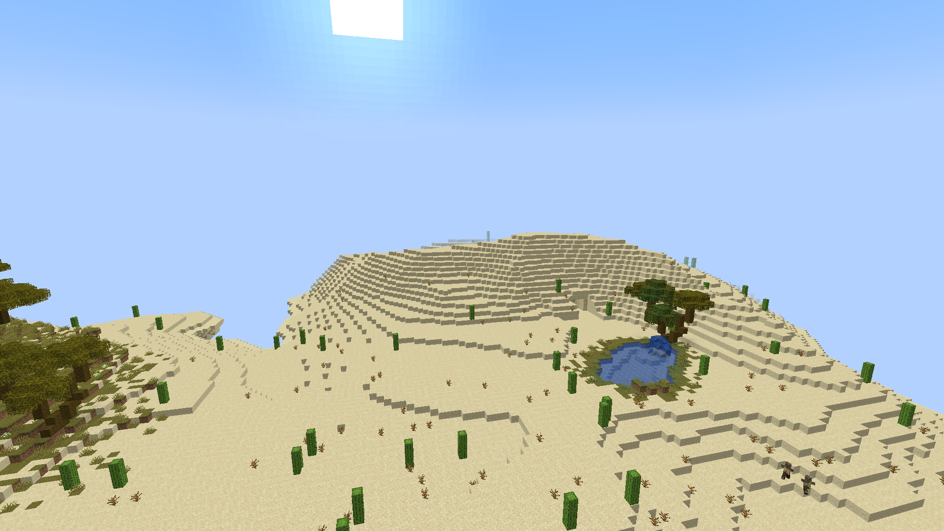 The Desert