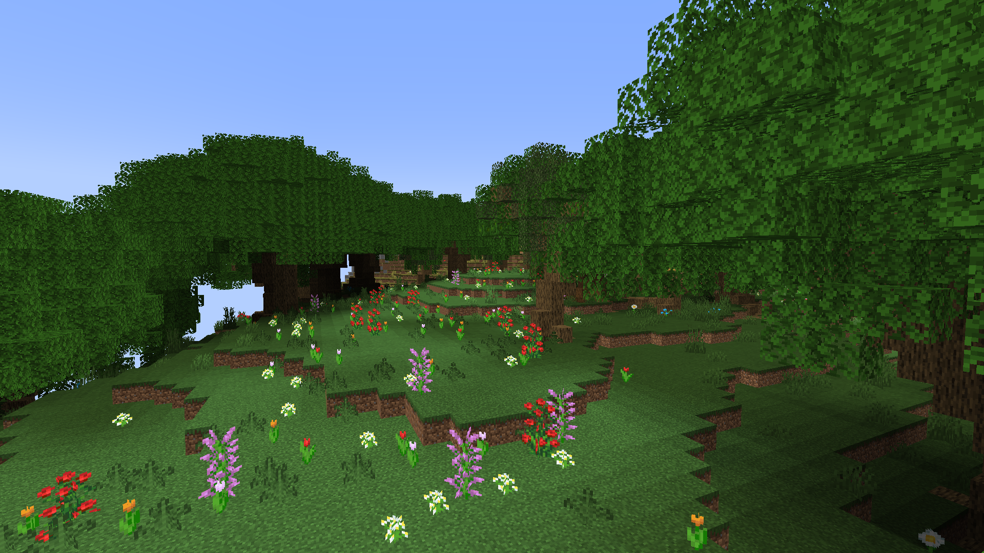 The Flower Forrest