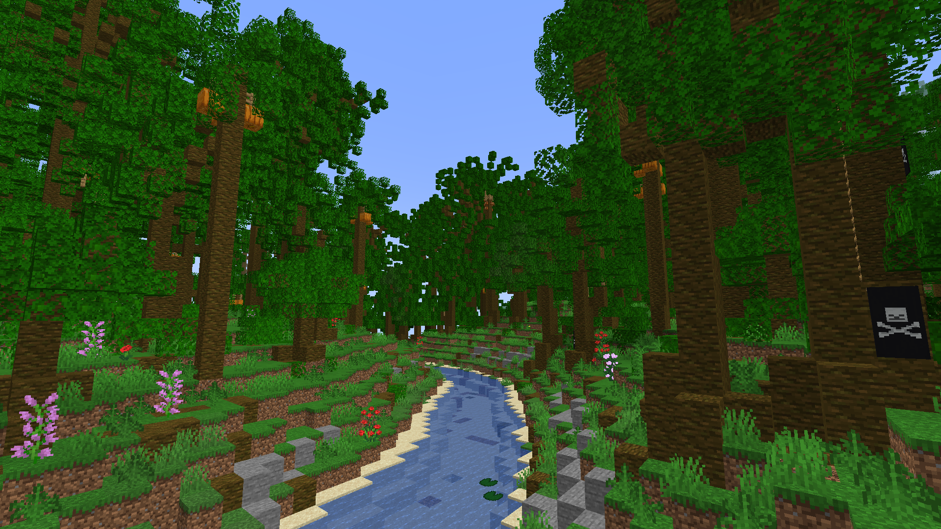 The Jungle
